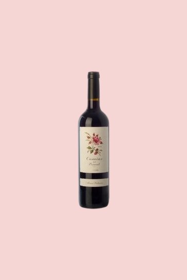 Camins del Priorat 2013 Junger Crianza, Priorat