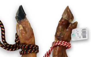 Die Hufe können schwarz oder elfenbeinfarben sein